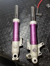 Steli viola forcella usato  Nettuno