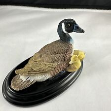 Goose goslings poly for sale  Bend