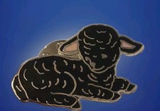 Black sheep lamb for sale  Media
