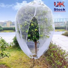 Insect proof fruit for sale  UK