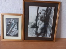 spaniel prints for sale spaniel prints for sale SHEFFIELD