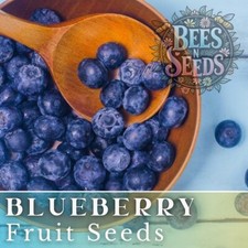Blueberry seeds 200 for sale  Meridian