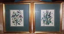Abstract floral watercolors for sale  Butler
