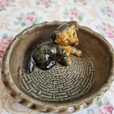 Wade whimsie puppy for sale Wade whimsie puppy for sale  WAKEFIELD