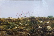 Dipinto olio tela usato Dipinto olio tela usato  Salerno