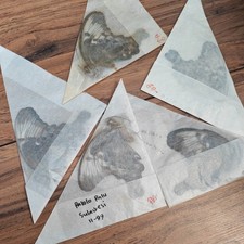 Papered butterflies papilio for sale Papered butterflies papilio for sale  HAVERHILL