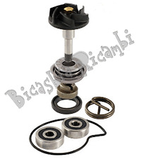2731 kit revisione usato  Cerignola