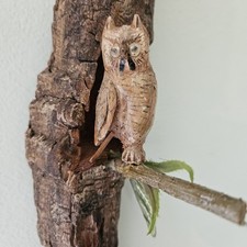 Driftwood hand carved for sale  Milton