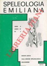 Bardella giorgio busi usato  Italia