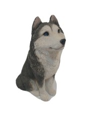 Sandicast huskie dog for sale  Saint Augustine