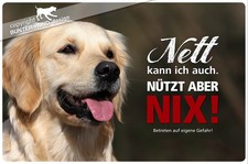 Golden retriever metall gebraucht kaufen  Legden