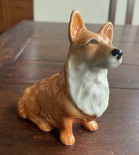 corgi dog for sale corgi dog for sale HERNE BAY