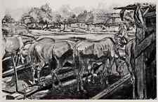 Pferde tränke unterstand gebraucht kaufen Pferde tränke unterstand gebraucht kaufen  Berlin