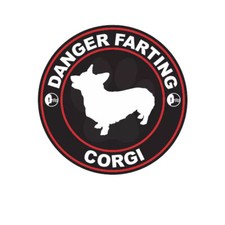 Danger farting corgi for sale  Chicago