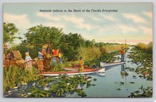 Miami florida seminole for sale  Pompano Beach