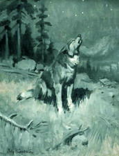 Lone wolf winter for sale  Ahsahka
