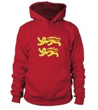 Hooded sweatshirts sweat d'occasion  Tours-