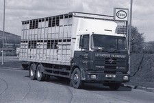 livestock transport for sale  GRANTHAM