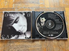 David cassidy didn usato  Vinovo