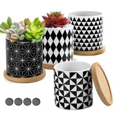 Lewondr keramik sukkulenten gebraucht kaufen  Oedheim