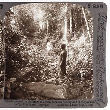 Foto de selva Congo África Forest Trail Stereoview c1905 África Central C2095 comprar usado  Enviando para Brazil
