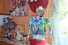 Catimini veste neuve d'occasion  La Chapelle-en-Vercors