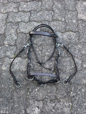 Sidepull cob star gebraucht kaufen  Eschwege