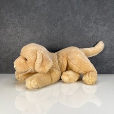 Animal alley puppy for sale  ROTHERHAM