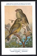 Künstler hubert dupond gebraucht kaufen Künstler hubert dupond gebraucht kaufen  Berlin