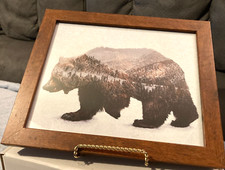 Brown bear framed for sale  Vilonia