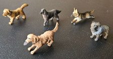 Mixed breed toy for sale  Los Angeles
