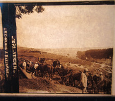 Chevaux verdun echelons d'occasion  Dijon