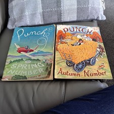 Punch autumn summer for sale  PRESTON