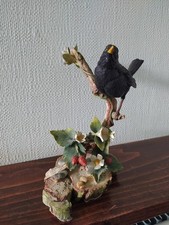 country bird collection for sale  MARKET RASEN