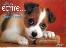 Animaux chiens jack d'occasion  Fruges