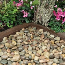 Scottish pebbles 40mm for sale Scottish pebbles 40mm for sale  DARLINGTON