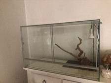 Teca per rettili usato  Treviso Bresciano