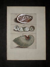 1681 original antique d'occasion  Paris-