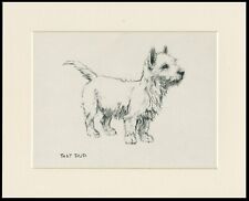 WEST HIGHLAND WHITE TERRIER WESTIE FILHOTE 1933 ESBOÇO DE CACHORRO IMPRESSÃO KF BARKER MONTADO comprar usado  Enviando para Brazil