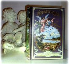 Altes kräuterbuch hexen gebraucht kaufen  Hamburg