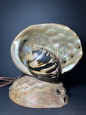 Vintage abalone sea for sale  Cortez