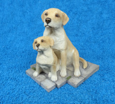 Sherratt simpson labrador for sale  PERTH