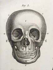 Scheletro umano stampa usato Scheletro umano stampa usato  Roma