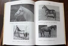 Araber stutbuch ddr gebraucht kaufen  Duisburg