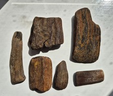 Pieces fossilised wood for sale  NORWICH