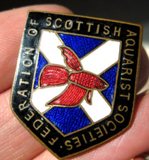 fish pin badge for sale fish pin badge for sale LOUGHBOROUGH