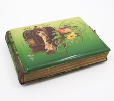 Álbum de fotos antigo de celulóide degradê verde - Veludo eduardiano vitoriano floral comprar usado  Enviando para Brazil