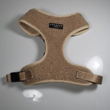 Cocopup london teddy for sale  BIRMINGHAM
