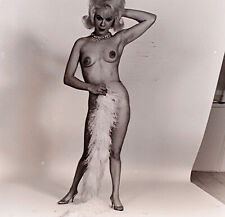 1950s Blonde Stripper Kitty Standing com Boa P/B negativo de grande formato comprar usado  Enviando para Brazil