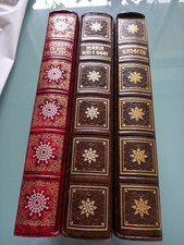 Vol. vangelo arte usato  Torino